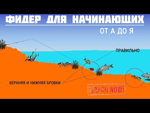 Видео: СТОИТ ли покупать ФИДЕР? Фидер для начинающих от А до Я ! Что вообще такое фидер? #рыбалка #фидер