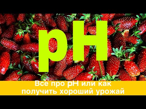 Видео: Что такое pH .Чем замерять.Как корректировать .(Практика)