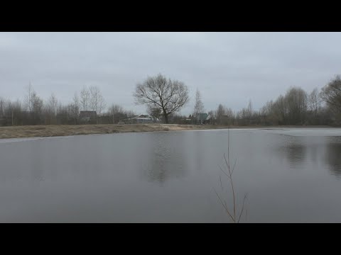 Видео: Очистка пруда: большая весенняя экскурсия по очищенным водоемам