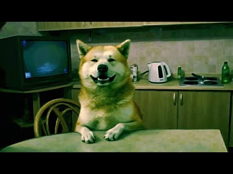 Видео: Начало прохождения No, I’m not a Human | Инди-игра с сюжетом