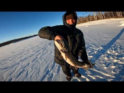 Видео: ЩУКА 4,4 КГ! РЫБАЛКА НА БУРЕЙСКОМ ВОДОХРАНИЛИЩЕ 3 ЯНВАРЯ 2023 / ЩУКА НА ЖЕРЛИЦЫ / АМУРСКАЯ ОБЛАСТЬ