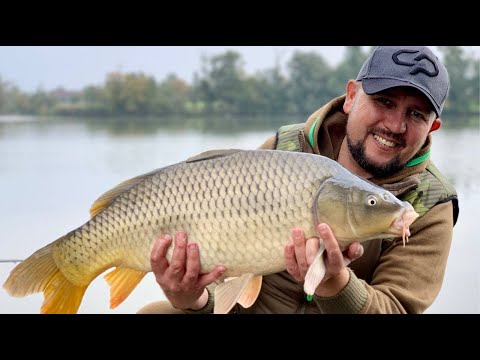 Видео: Все про флет   і фідер. У гостях Микола Солодовнік. Збір для ЗСУ.