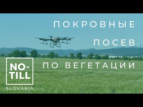 Видео: Дрон на посеве покровных культур | No-till в Словакии