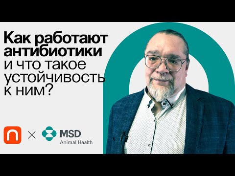 Видео: Резистентность к антибиотикам / Константин Мирошников на ПостНауке