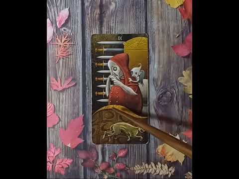 Видео: Для начинающих.  Таро безумной луны.  Девятка Мечей