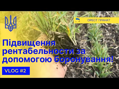 Видео: Підвищення рентабельности за допомогою боронування!