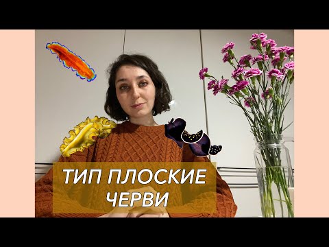 Видео: Урок "Тип Плоские черви" - ЦТ, ЕГЭ, ЗНО