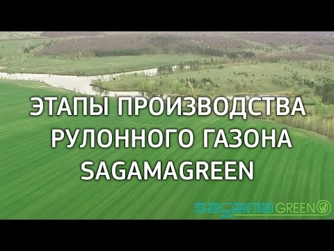 Видео: Этапы производства рулонного газона - производитель Sagama Green