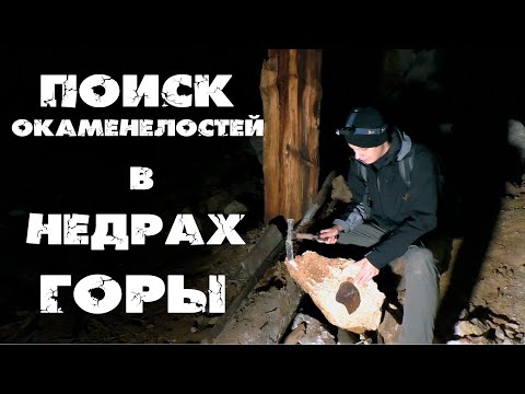 Видео: Окаменелости Сокских штолен| Подземный коралловый риф| Что можно найти в старинных каменоломнях?