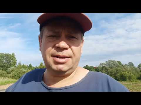 Видео: Картофелекопалка  ККМ-4