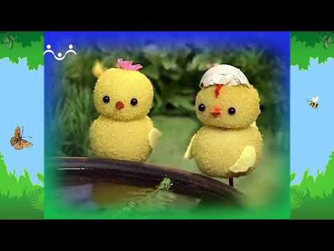 Видео: Утро в Шишкином Лесу. Сказка. Про утенка