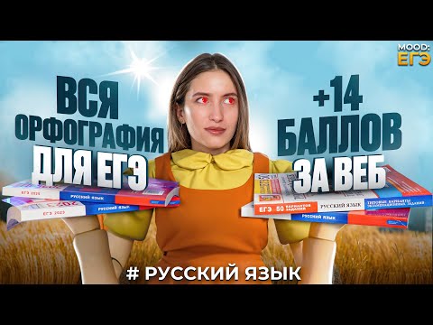 Видео: ВСЯ ОРФОГРАФИЯ ДЛЯ ЕГЭ / 9-15 ЗАДАНИЯ ЕГЭ ПО РУССКОМУ / ТОТАЛЬНЫЙ РАЗБОР