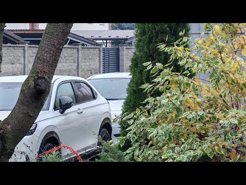 Видео: Мій сад. Працюю! 😊