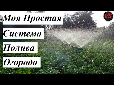 Видео: Моя Простая Система Полива Огорода