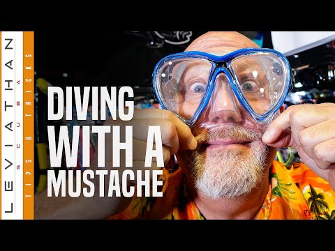 Видео: Советы и рекомендации по подводному плаванию с аквалангом Leviathan. Дайвинг с усами.