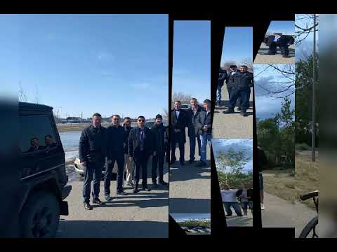 Видео: Шульбинск друзья