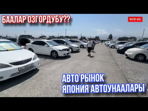 Видео: Риом АвтоУнаа Базары Япония Унаалары Баалар кандай болуп жатат?? Хонда Тойота Кун Ото Ыссык