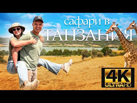 Видео: 🦁Сафари в Танзания 🇹🇿 |  Сбъдването на детската ми мечта 👧 | Красотата на Африка 😍