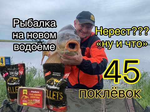 Видео: Как поймать много карпа на новом водоеме
