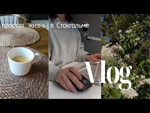 Видео: как я работаю из дома в Швеции
