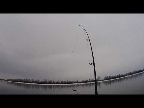 Видео: ВОТ ЭТО ОТКРЫТИЕ СЕЗОНА. хариусы не входят в кан.