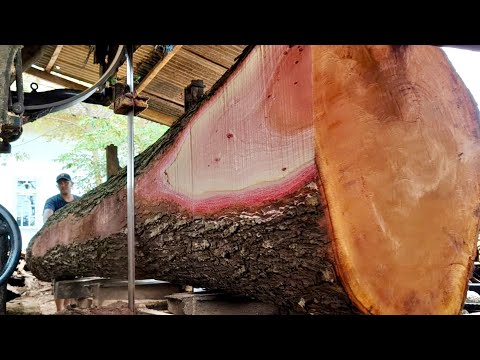 Видео: Тайна больших и длинных бревен красного дерева на лесопилке