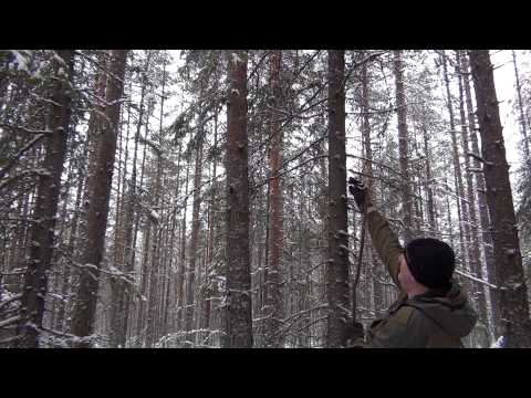 Видео: Как натянуть тент не залезая на дерево