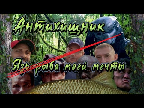 Видео: Антихищник.  Язь рыба моей мечты