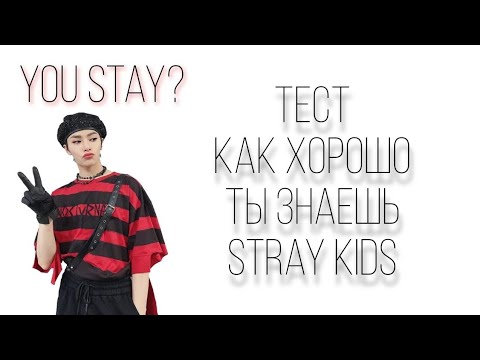 Видео: YOU STAY? тест: насколько хорошо ты знаешь stray kids // 🦊