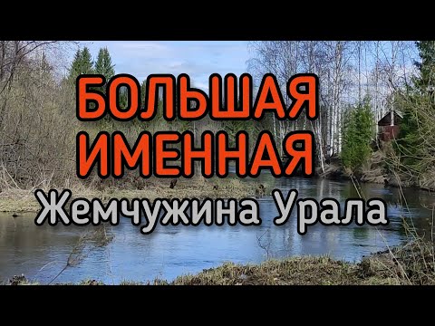 Видео: Большая Именная. Прогулка вдоль одной из красивых рек Урала.