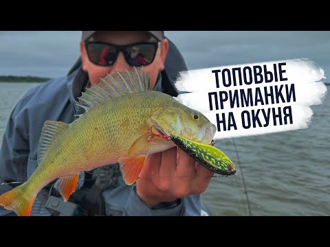 Видео: Крупные окуни и трофейная щука | Топовые приманки на щуку и окуня