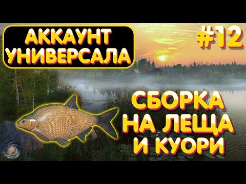 Видео: Аккаунт универсала #12 | Сборка на ЛЕЩА и КУОРИ | Прокачка наживки и прикормки | Русская Рыбалка 4