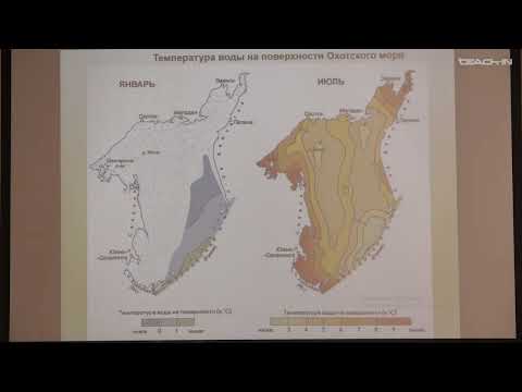 Видео: Крылов О.В.-Геология и геохимия горючих ископаемых.Ч.2- 20.Нефтегазоносные бассейны Дальнего Востока