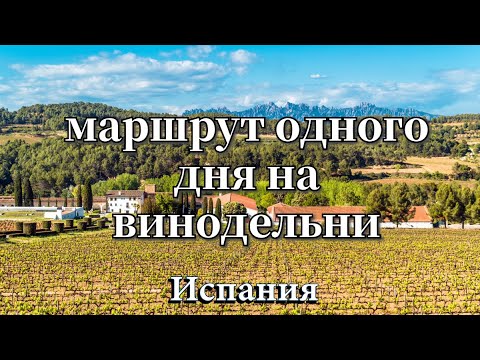 Видео: Экскурсии на винодельни из Барселоны #доступновсем
