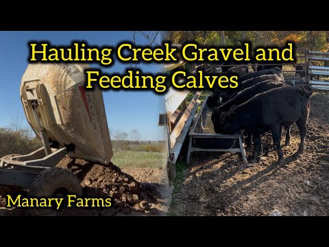 Видео: Эксплуатация большого оборудования на небольшой семейной ферме