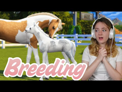 Видео: РАЗВЕДЕНИЕ ЛОШАДЕЙ В THE SIMS 4 - Sims 4 Horse Ranch #реклама | Pinehaven