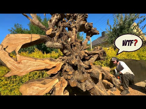 Видео: Самая невероятная находка!!!