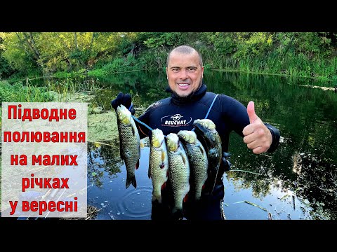 Видео: Подводная охота на малых реках в сентябре