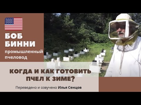 Видео: Когда и как готовить пчел к зиме? Боб Бинни (США)