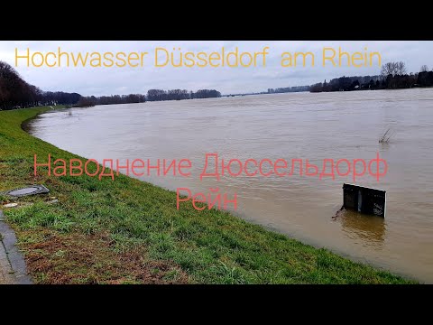 Видео: Наводнение Дюссельдорф Рейн. Hochwasser Düsseldorf  am Rhein