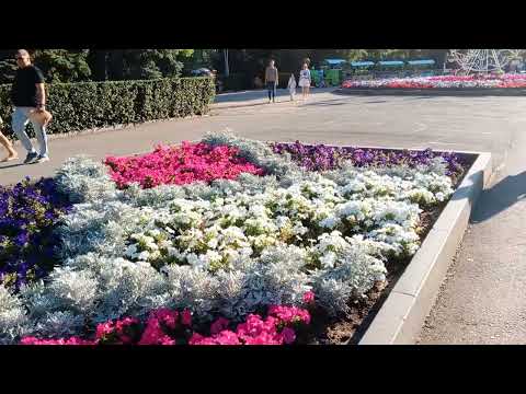 Видео: Саратов. Горпарк. Времена года. Теперь только в воспоминаниях.
