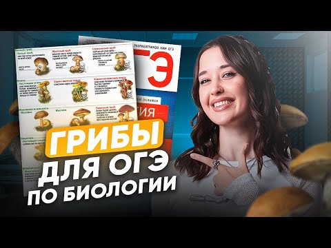 Видео: ВСЕ О ГРИБАХ для ОГЭ по биологии / ВСЕ про царство ГРИБОВ для ОГЭ