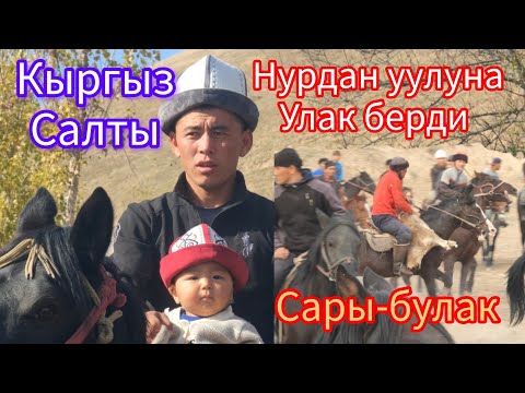 Видео: Сары-булак Нурдандын улагы