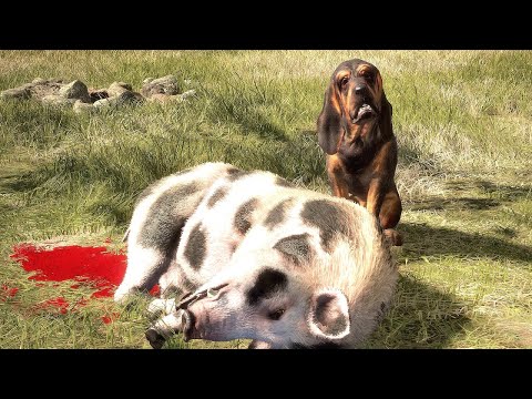 Видео: ИСТЕРЗАННЫЕ ПИКИ.  КРОКОДИЛЫ.  ОЛЕНИ.  СВИНЬИ И БУЙВОЛЫ В TheHunter Call of the Wild - 154