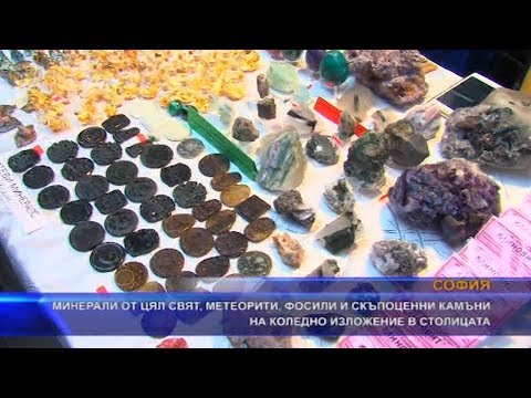 Видео: Провежда се коледно изложение на минерали, фосили и скъпоценни камъни