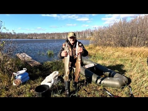 Видео: ОХОТА на рябчиков. Домик охотников. Наловил ЩУК.