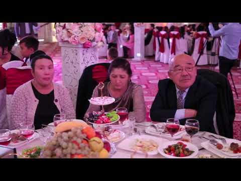 Видео: Әнші Данияр Барыс Шымкент той 8702 677 10 33