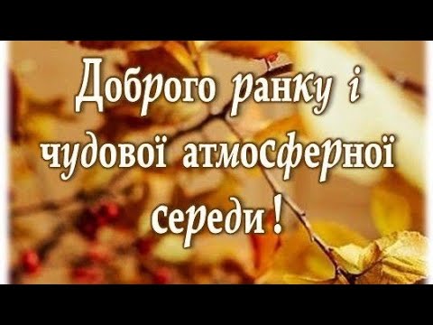 Видео: Цукерочки на зв'язку Харків 12.11
