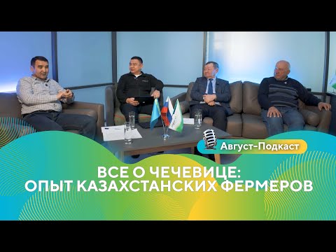 Видео: Все о чечевице: опыт казахстанских фермеров | Август-Подкаст #чечевица #агро #казахстан