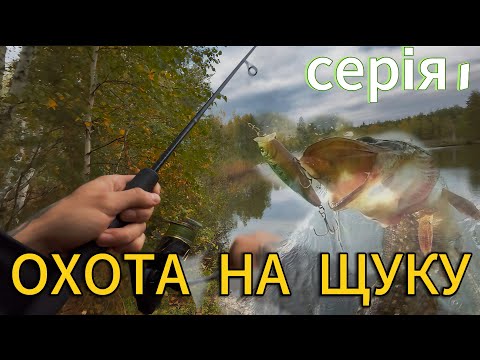 Видео: ЩУКА НА ПОЛТАВЩИНІ,ЗНАЙШЛИ ХИЖАКА?